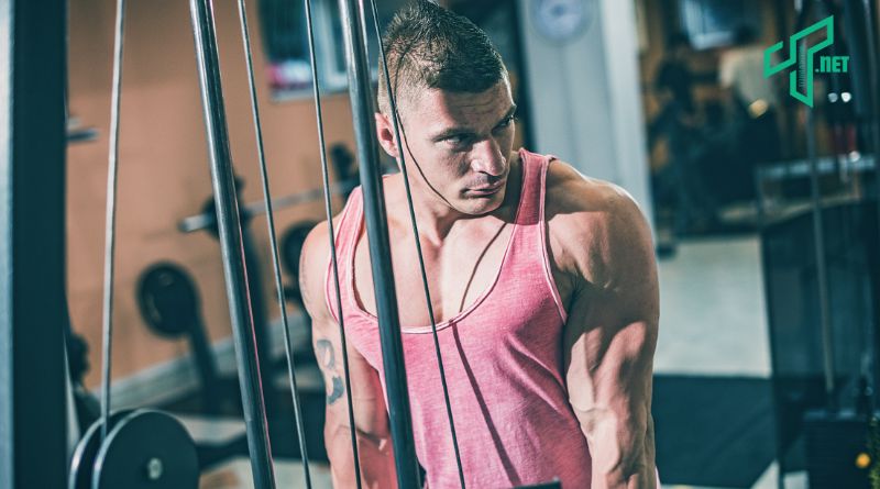 wellhealth how to build muscle tag